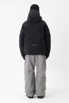 GTX 2L PANTS WILD GREY (Relaxed fit)